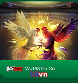 k8vn